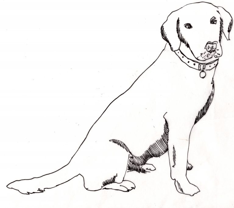 12 Drawing Lab Old Yeller For Free Download On Ayoqq | Old Yeller ...