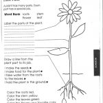1St Grade Science Worksheets | Picking Apart Plants   People | Growing And Changing Printable Worksheets
