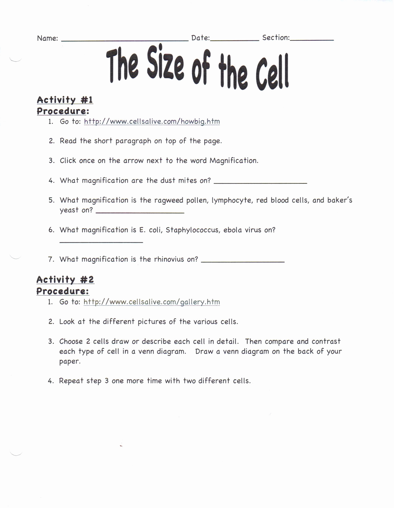 5Th Grade Science Printable Worksheets Printable Worksheets