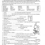 7Th Grade Science Worksheets On Lab Safety   7Th Grade Science | Grade 8 Science Worksheets Printable