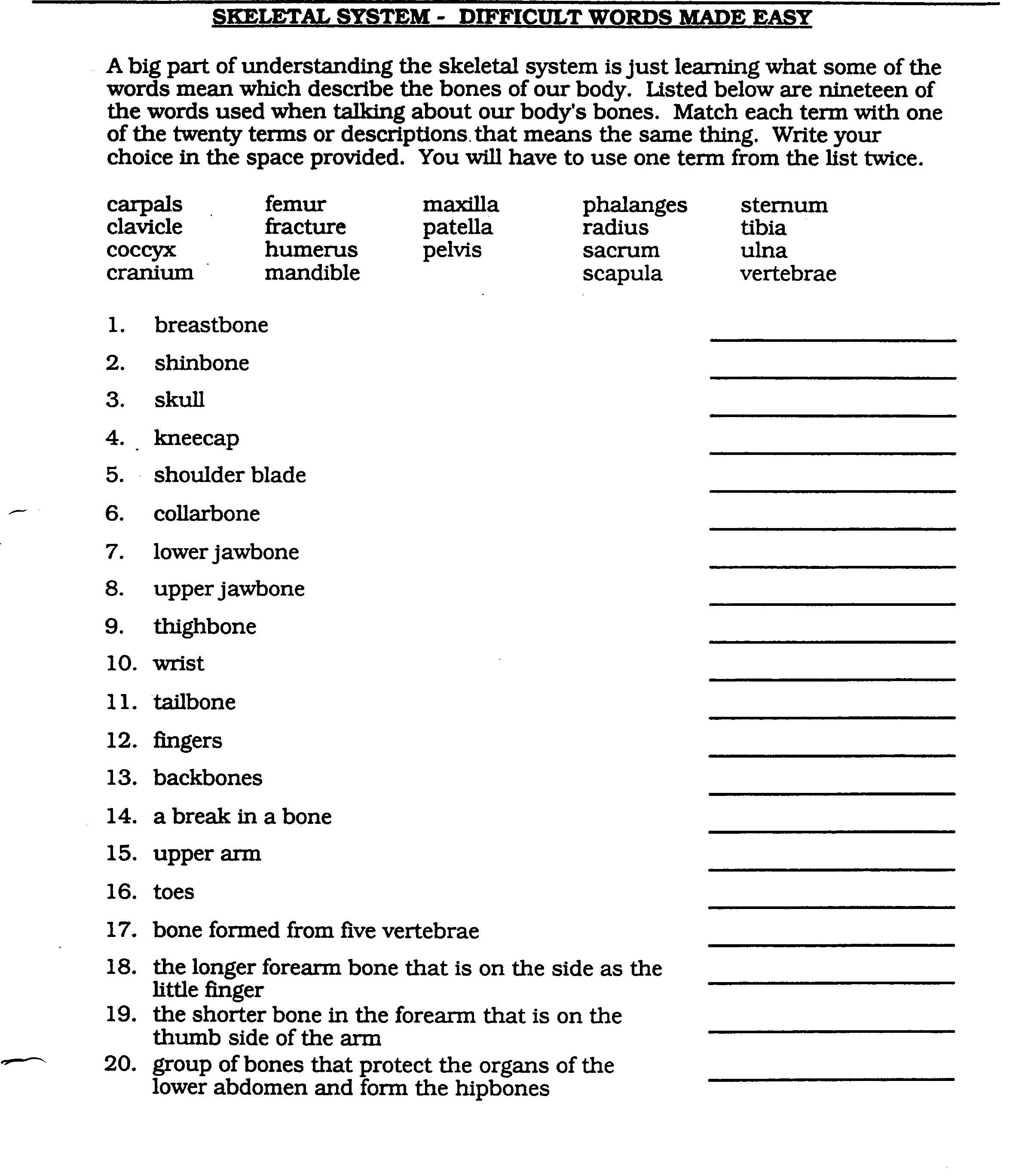 Anatomical Terminology Worksheet | Try It Out And Think Smart | Anatomy And Physiology Printable Worksheets