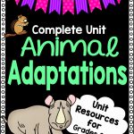 Animal Adaptations Worksheet Unit Plan For Teachers | Free Printable Worksheets Animal Adaptations