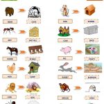 Animals And Their Homes Worksheet   Free Esl Printable Worksheets | Free Printable Worksheets Animal Adaptations