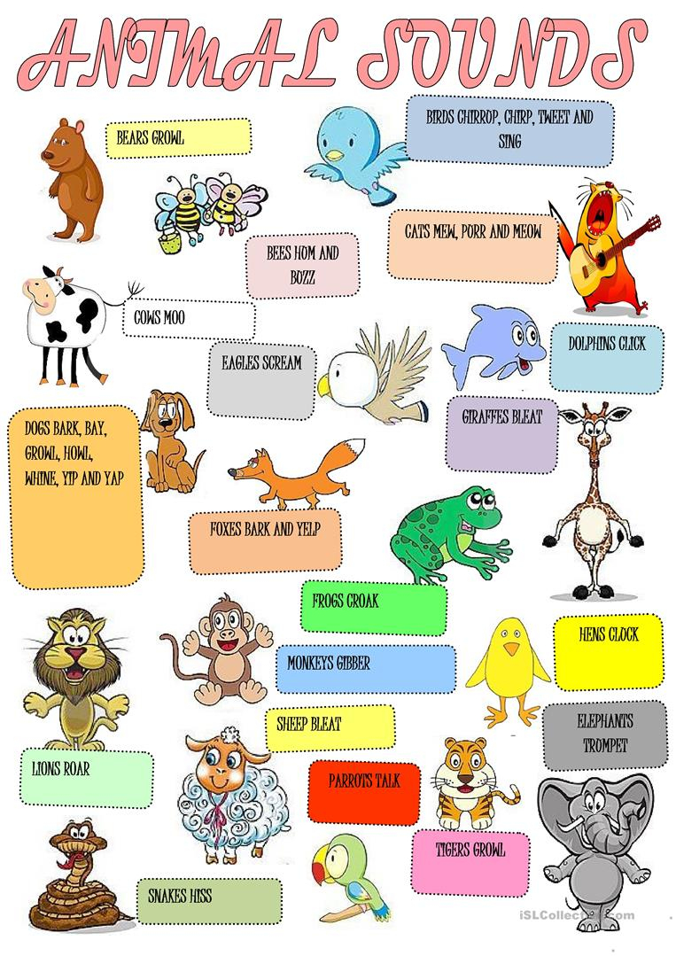 Animal Sounds Printable Worksheets - Printable Worksheets