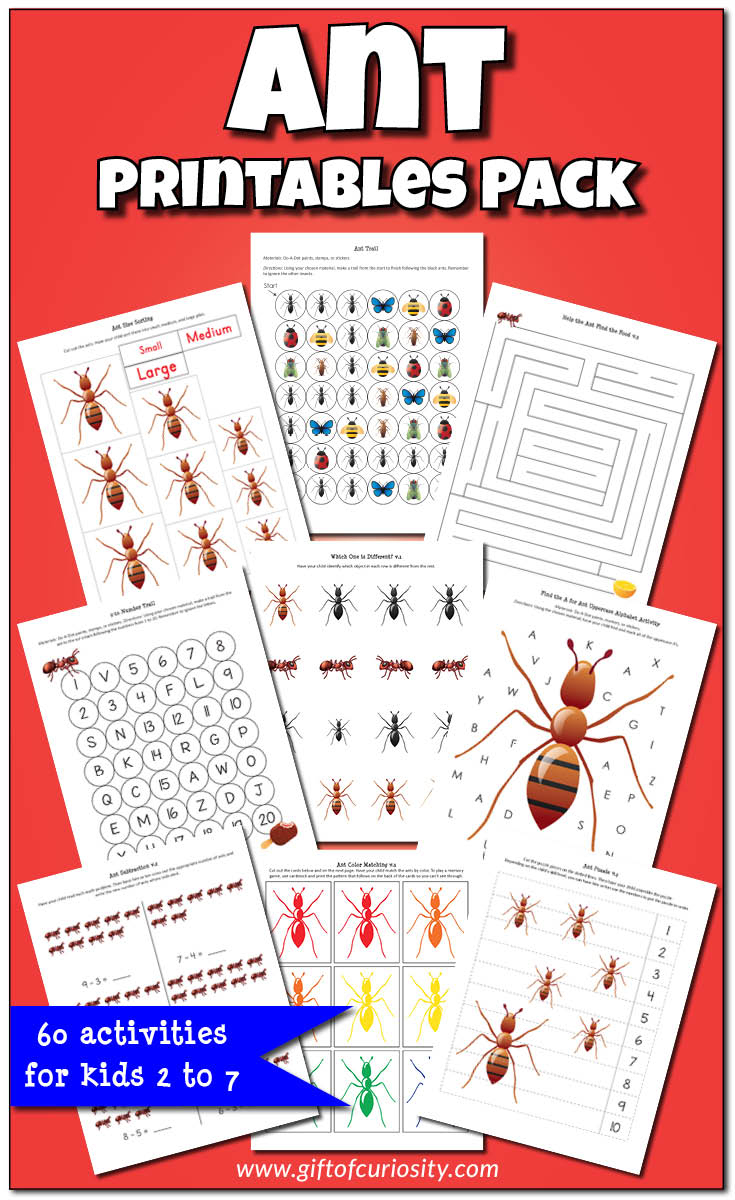 Ant Printables Pack {Insect Printables} - Gift Of Curiosity | Ant Worksheets Printables