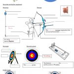 Archery And How To Shoot An Arrow For Beginners Worksheet   Free Esl | Archery Printable Worksheets