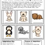 Arctic Animal   Free Resource | Teaching Freebies | Animal | Free Printable Worksheets Animal Adaptations