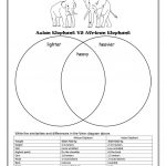 Asian Elephant Vs African Elephant Worksheet   Free Esl Printable | Free Printable Worksheets On Africa