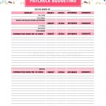 Budget Binder Printables   The Practical Saver | Printable Budget Binder Worksheets