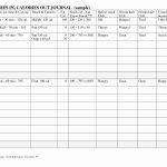 Calorie Counter Spreadsheet – Theomega.ca   Free Printable Calorie | Free Printable Calorie Counter Worksheet