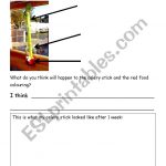Celery Experiment Worksheet   Esl Worksheetkelleych | Celery Experiment Printable Worksheet