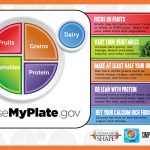Choosemyplate Gov Food Tracker | Healthy Hesongbai | Choose My Plate Printable Worksheets