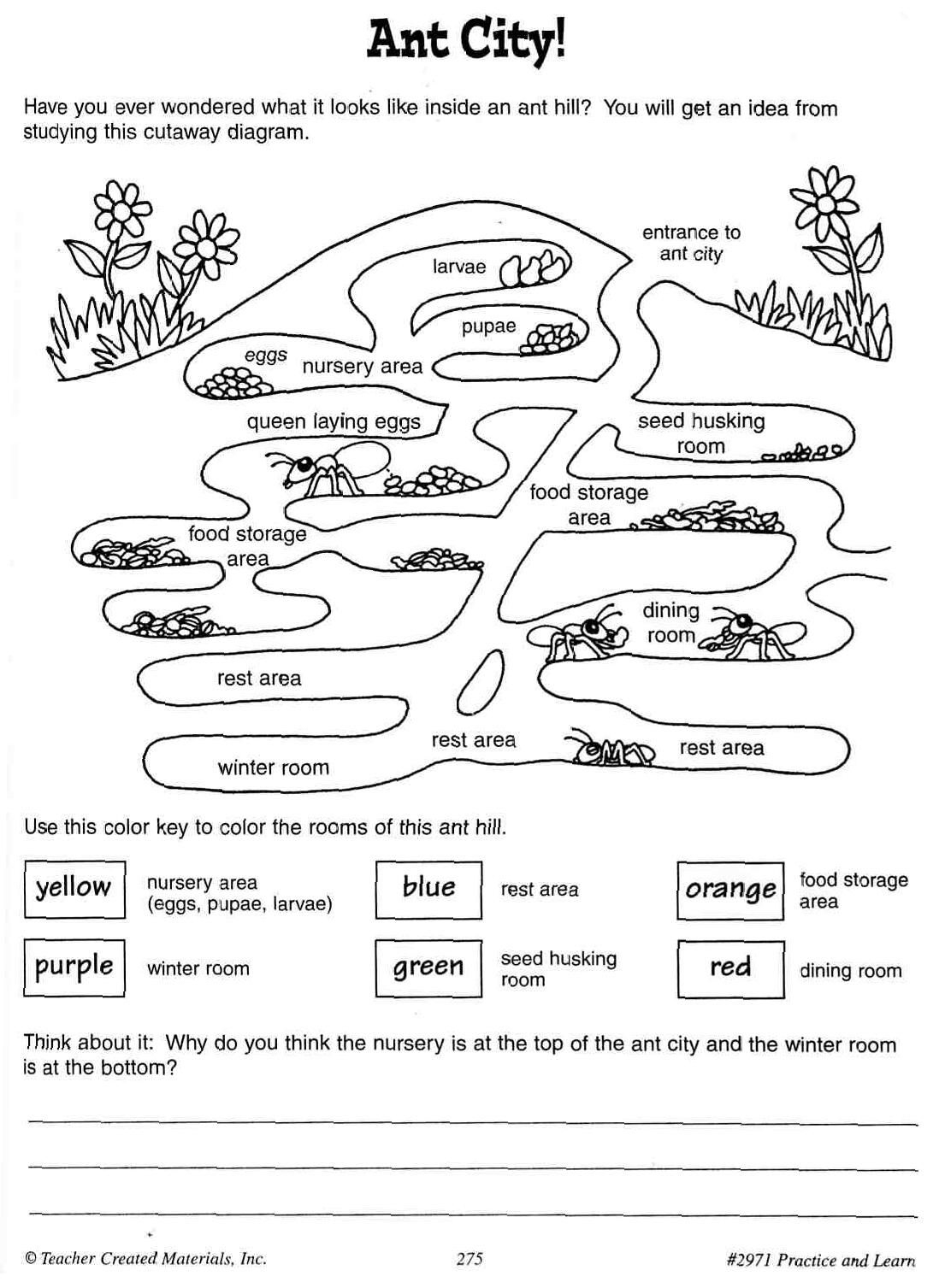 Cool Ant Worksheets - Google Search | Ants Unit | Ants In House | Ant Worksheets Printables