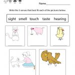 Five Senses Worksheet For Kids   Free Kindergarten Learning Worksheet | Science Worksheets For Kindergarten Free Printable