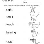 Five Senses Worksheet   Free Kindergarten Learning Worksheet For | Free Printable Worksheets Kindergarten Five Senses