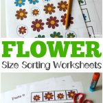 Flower Size Sorting Printables For Kids! | Matching And Sorting | Big And Small Ideas Printable Worksheets