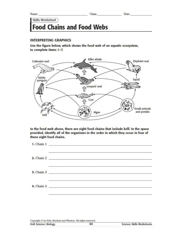 Food Webs And Food Chains Worksheet | Food Chain Printable Worksheets ...