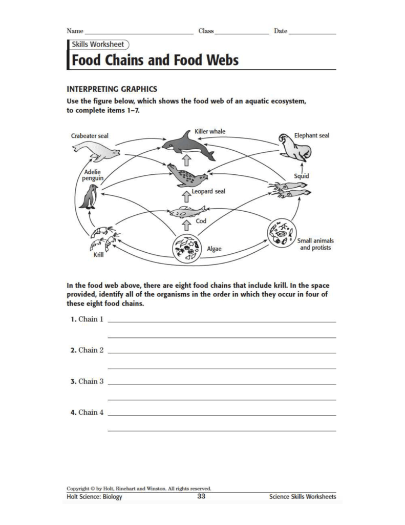 Food Webs And Food Chains Worksheet | Food Chain Printable Worksheets
