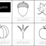 Free Printable: Autumn Words   Paging Supermom | Free Printable Leaf Worksheets