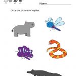Free Printable Earth Science Worksheet For Kindergarten | Free Printable Reptile Worksheets