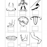 Free Printable Toddler Worksheets – With Preschool Curriculum Also | Free Printable Worksheets Kindergarten Body Parts