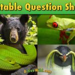Free Printable Worksheets For Teachers & Parents   Wildlife And Science | Free Printable Reptile Worksheets