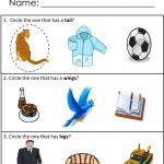 Free Printables For Receptive Language Skills! Available At | Free Printable Autism Worksheets