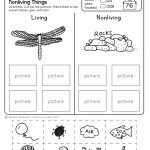 Freebie! No Prep Kindergarten Science Doodle Printables | T E A C H | Free Printable Worksheets For Kids Science