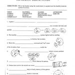Health Worksheets Health Problems Quiz Health Worksheets For High | Free Printable Health Worksheets For Middle School