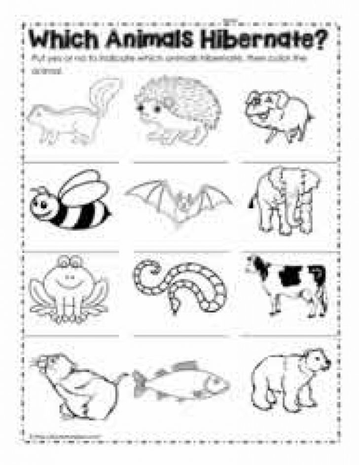 Hibernation Worksheets Regarding Free Printable Hibernation Free