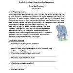 Homework Sheets Grade 3 Reading | Learning Printable | Reading | Year 3 Literacy Worksheets Printable