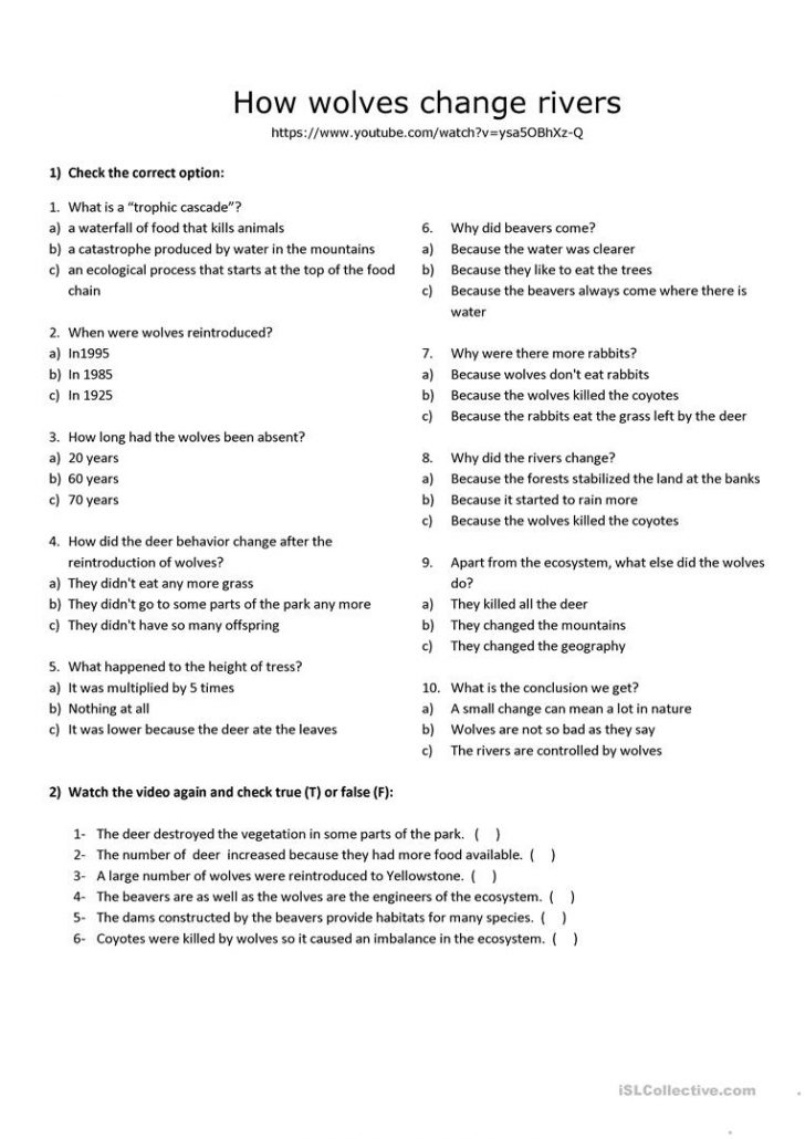 River Worksheets Printables