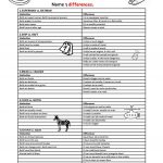 Key: Similarities & Differences Brain Teasers Answer Suggestions | Brain Teasers Printable Worksheets