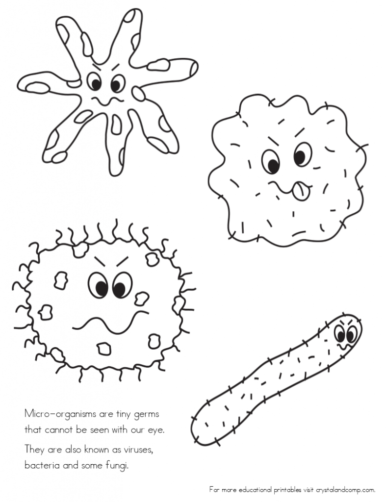 Germs Worksheets Printables Printable Worksheets