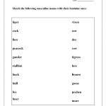 Kidz Worksheets: Gender Nouns Worksheet1 | Free Printable Worksheets On Genders