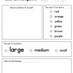 Leaf Investigation Printable Worksheet | A To Z Teacher Stuff | Teacher Printable Worksheets