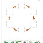 Life Cycle Of A Frog Worksheets   Cut And Paste | Life Cycle Of A Frog Free Printable Worksheets