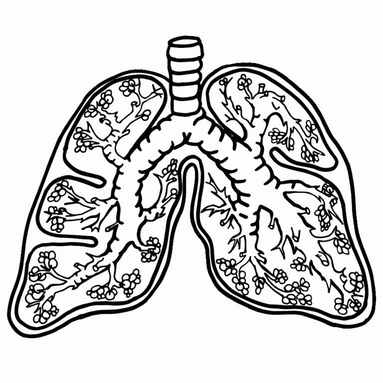 lung-coloring-pages-for-kids