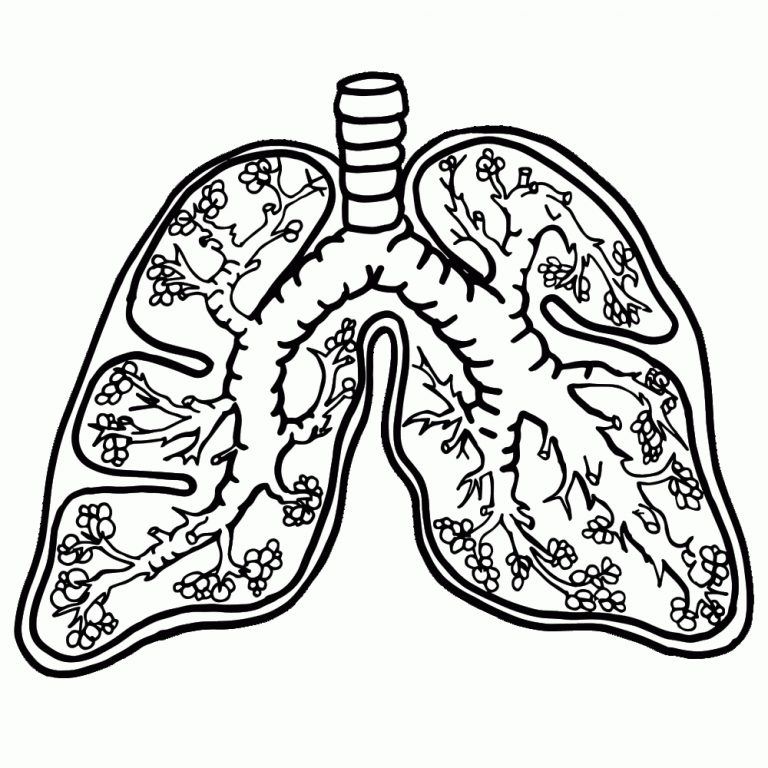 Lung Coloring Pages For Kids