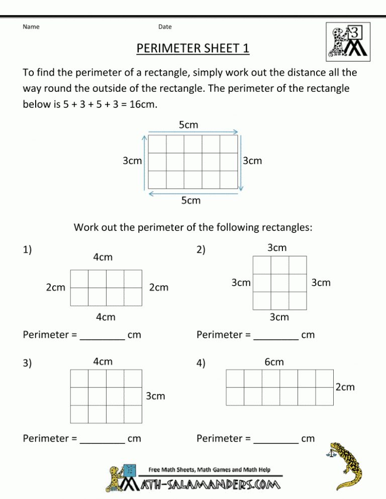 Math Salamanders - 3Rd Grade Perimeter Worksheets | Math For Third