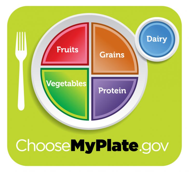 Myplate graphic resources choose myplate choose my plate printable