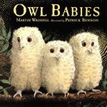 Owl Babies! Great Children's Book About Three Owlet Siblings | Owl Babies Printable Worksheets