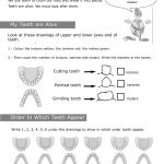 Personal Hygiene Worksheets For Kids Level 2 3 | Personal Hygiene | Dental Hygiene Printable Worksheets