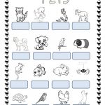Pets Worksheet   Free Esl Printable Worksheets Madeteachers | Pets Worksheets Printables