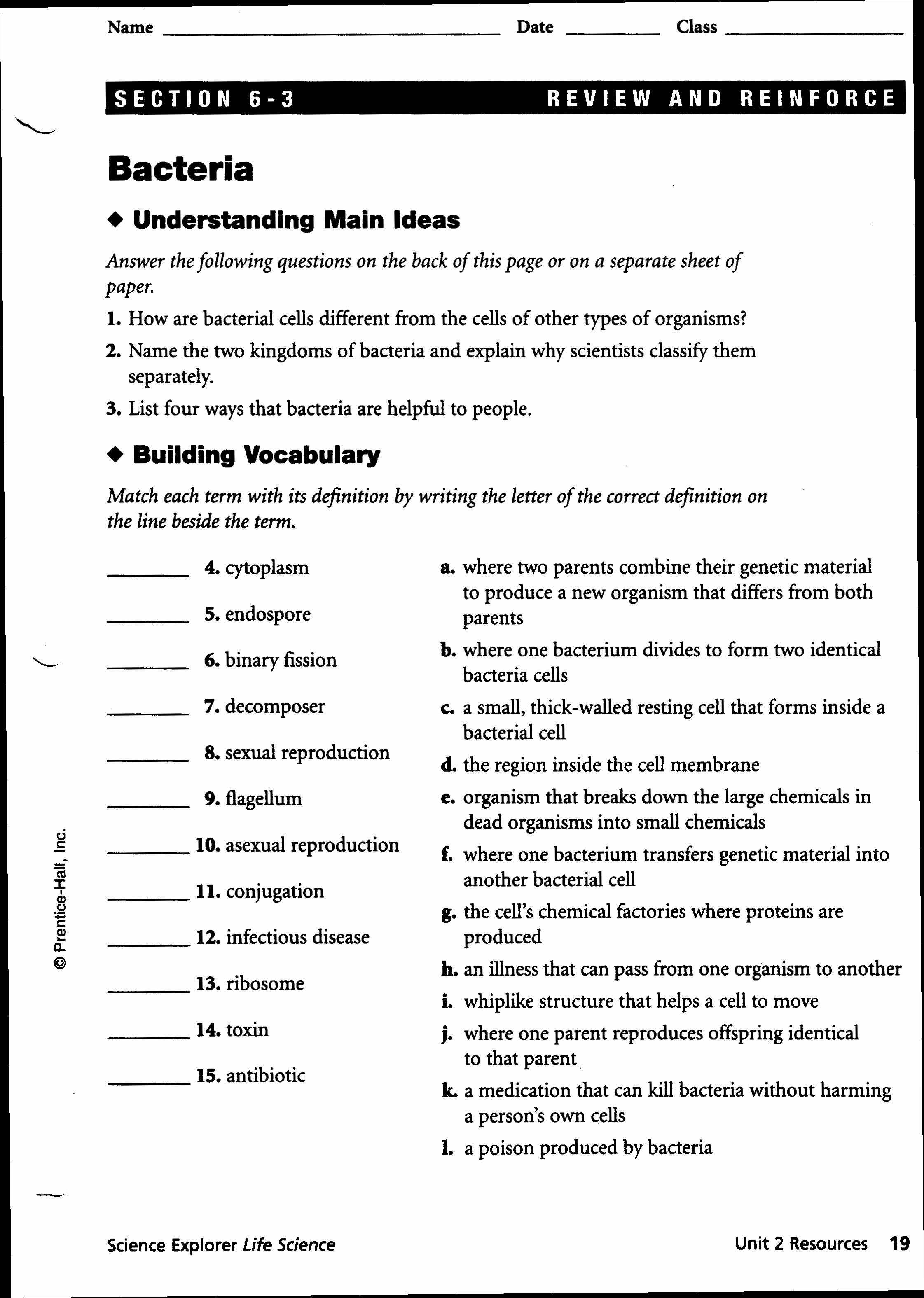 Physical Science Worksheets High School New High School Science | Free Printable High School Science Worksheets