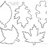 Pinlucie Davis On Skolka Worksheets | Leaf Template, Leaf   Free | Free Printable Leaf Worksheets