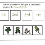 Preschool Printables: Frog Life Cycle | Pond Theme | Lifecycle Of A | Life Cycle Of A Frog Free Printable Worksheets