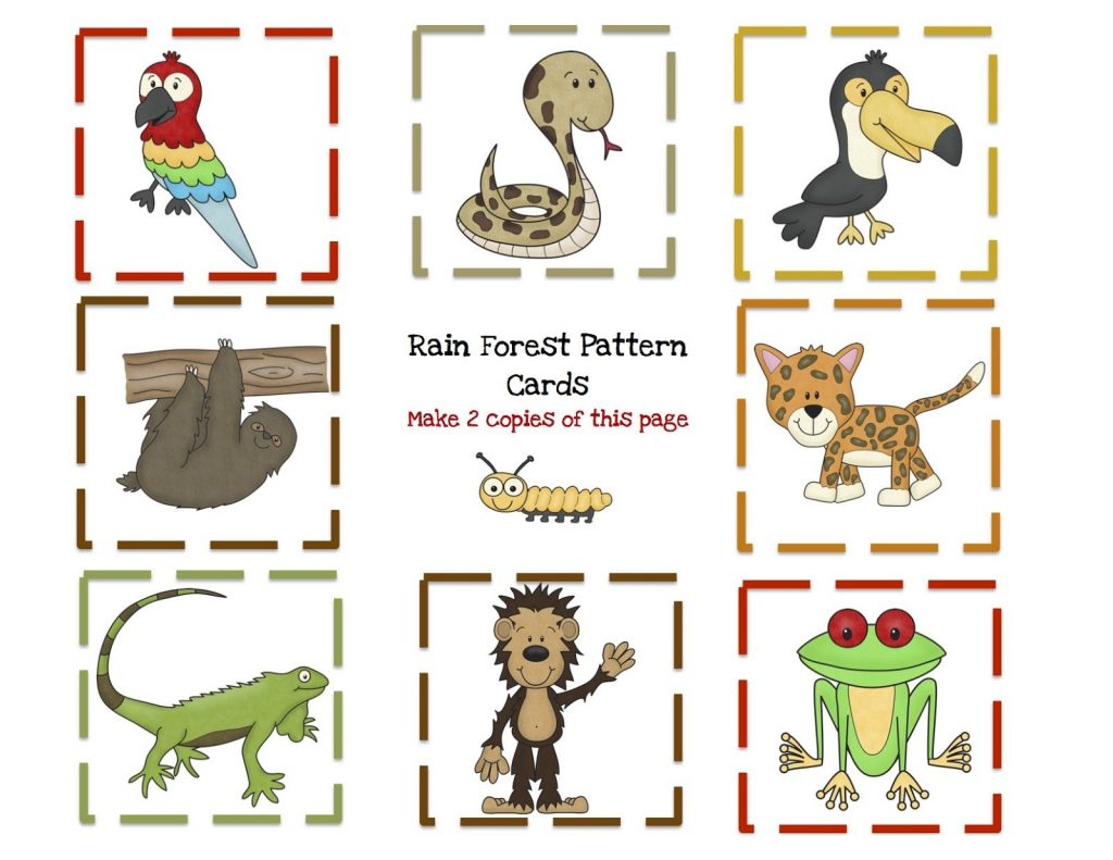 Preschool Printables Rain Forest Animal Printable Rain Forest