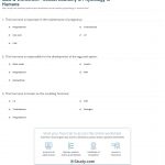 Quiz & Worksheet   Sexual Anatomy & Physiology In Humans | Study | Anatomy And Physiology Printable Worksheets