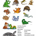 Reptiles Worksheet   Free Esl Printable Worksheets Madeteachers | Free Printable Reptile Worksheets